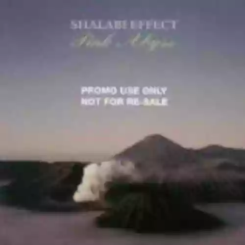 Cover Shalabi Effect - Pink Abyss