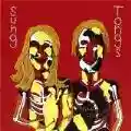 <b>Animal Collective</b> • Sung Tongs
