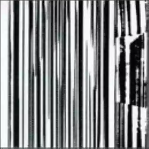 Cover The Dead C - Harsh 70s Reality