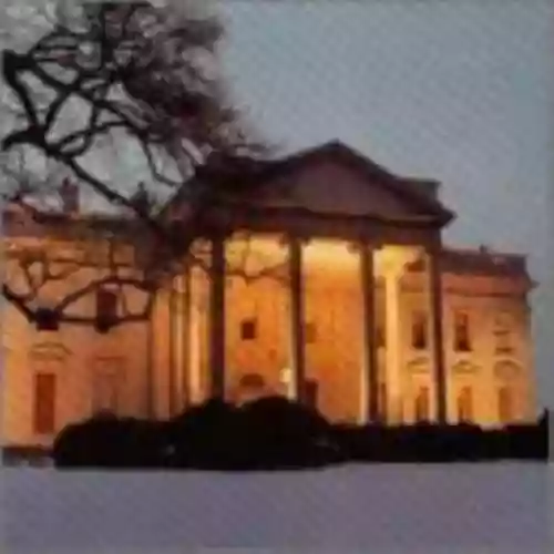 Cover The Dead C - The White House