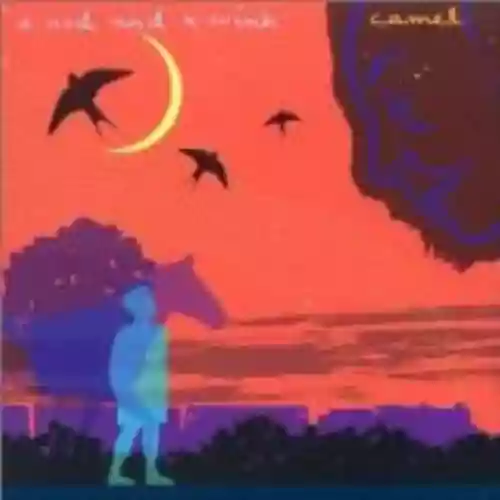 Cover di A Nod and a Wink