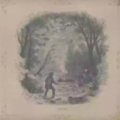 Cover di Vetiver