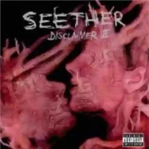 Cover di Disclaimer II