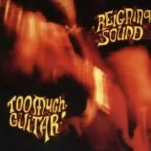 Cover di Too Much Guitar