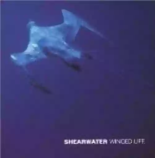 Cover Shearwater - Winged Life