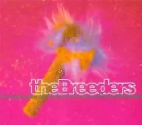 Cover The Breeders - Divine Hammer