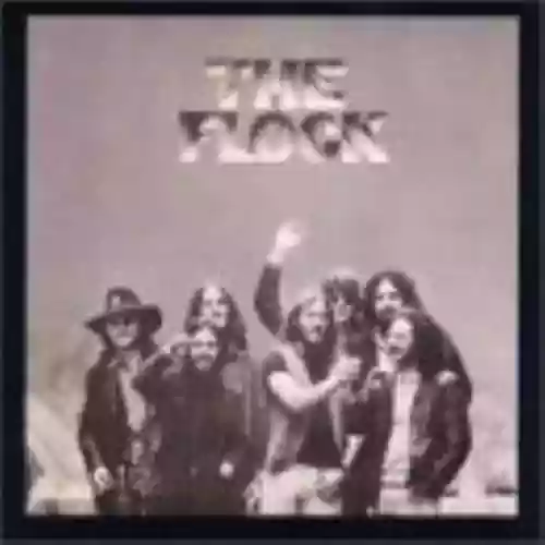 Cover di The Flock