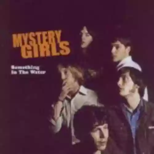 Cover di Something in the Water
