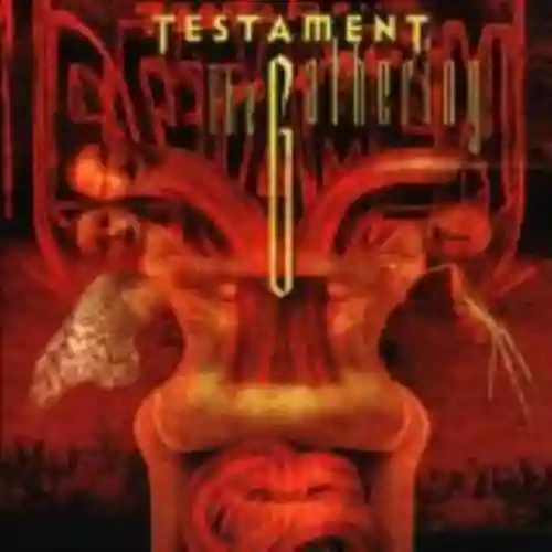 Cover di The Gathering