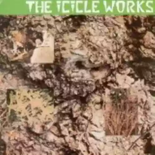 Cover The Icicle Works - The Icicle Works