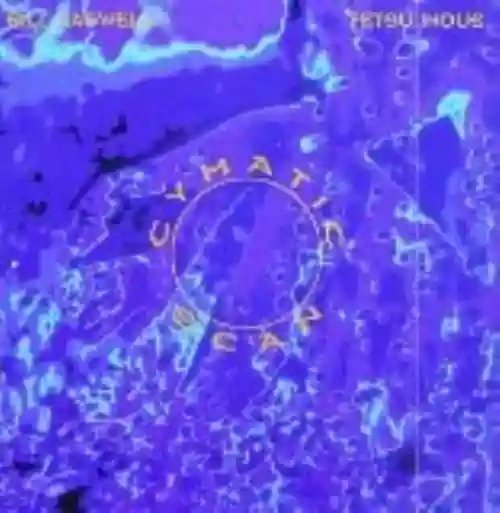 Cover di Cymatic Scan