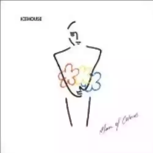 Cover Icehouse - Man of Colours