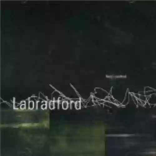 Cover Labradford - fixed::context