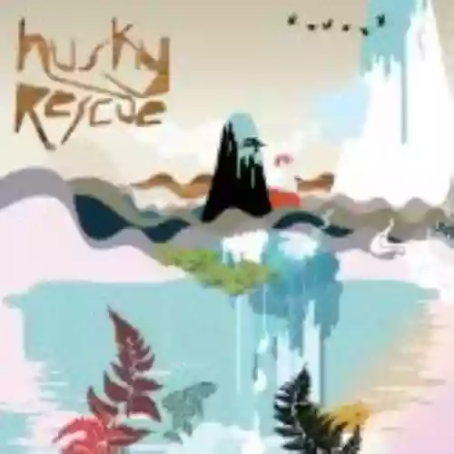 Cover di Country Falls