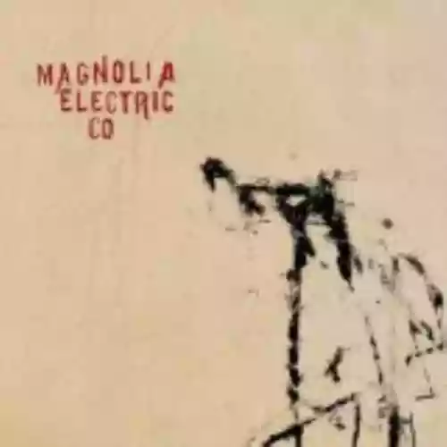 Cover Magnolia Electric Co. - Trials & Errors