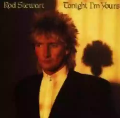 Cover di Tonight I'm Yours