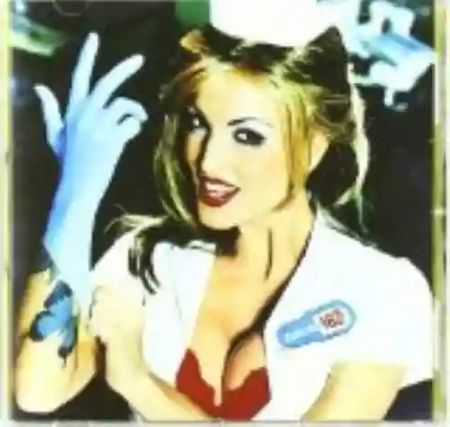 Cover di Enema of the State