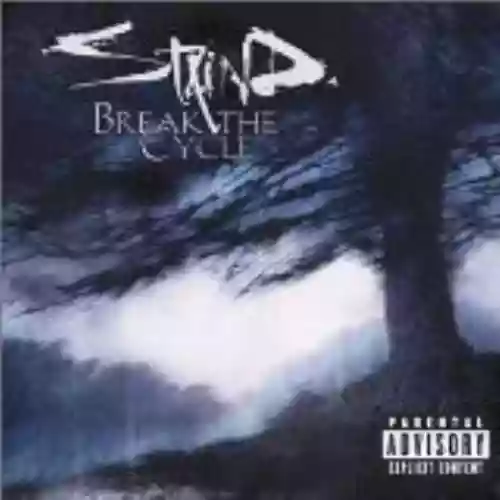 Cover Staind - Break the Cycle