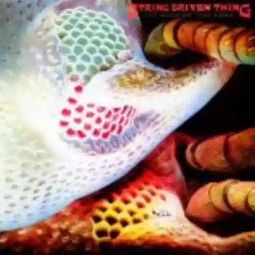 Cover String Driven Thing - The Machine That Cried