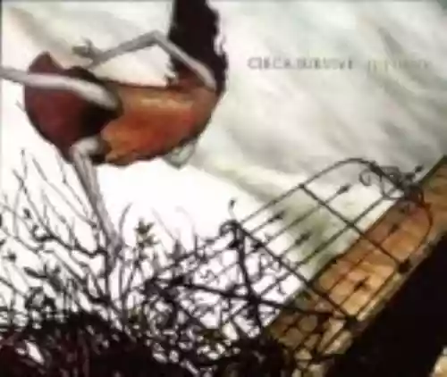Cover Circa Survive - Juturna
