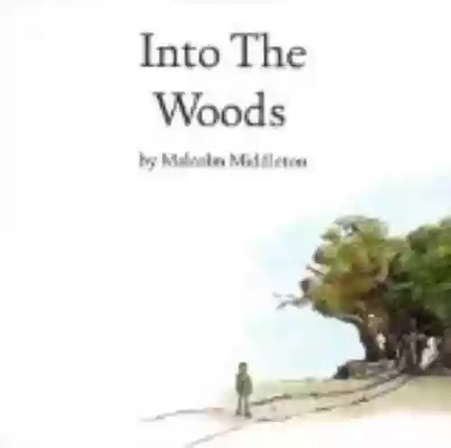 Cover di Into the Woods