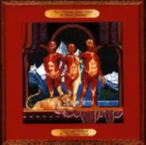 Cover Paul Kantner - Baron Von Tollbooth & The Chrome Nun