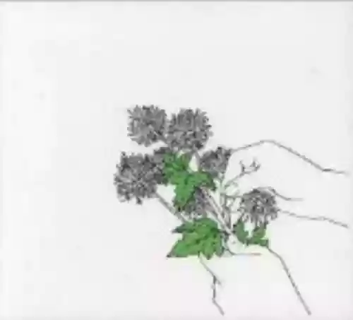 Cover di Sentimentalist