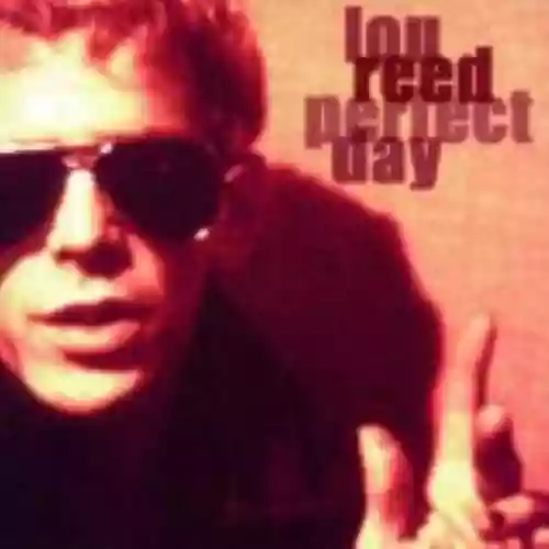 Cover di Perfect Day