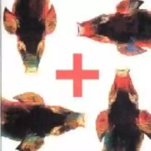 Cover di Testa plastica
