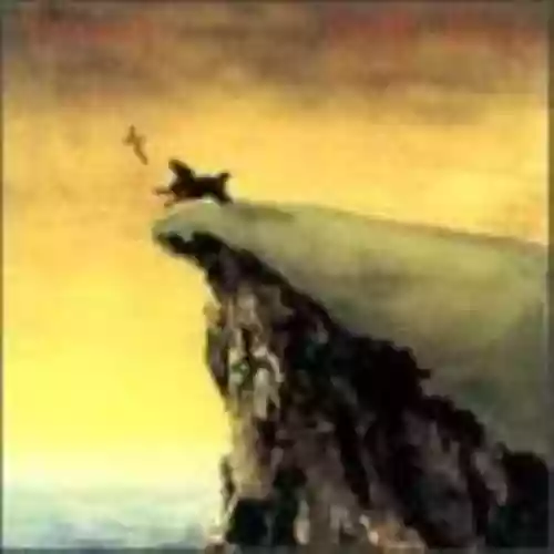 Cover The Verlaines - Bird-Dog