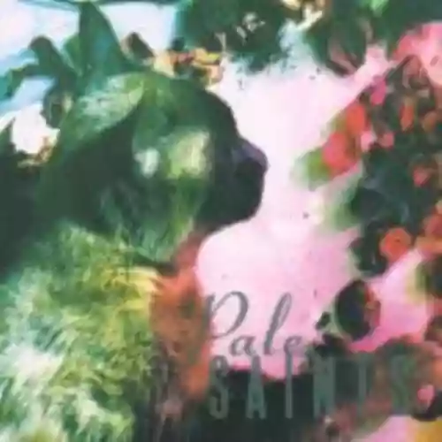 Cover Pale Saints - The Comforts of Madness