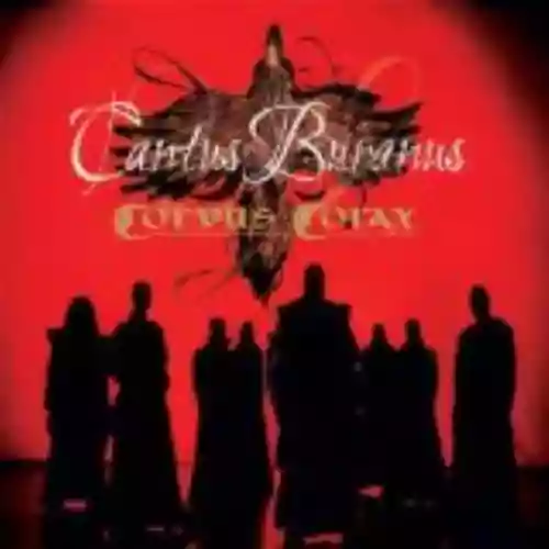 Cover di Cantus Buranus