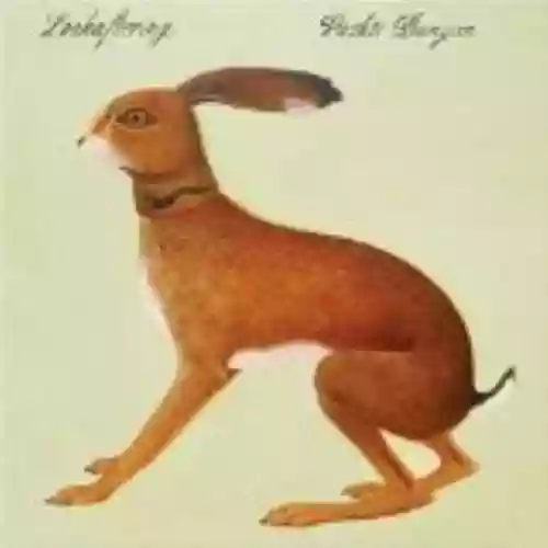 Cover Vashti Bunyan - Lookaftering