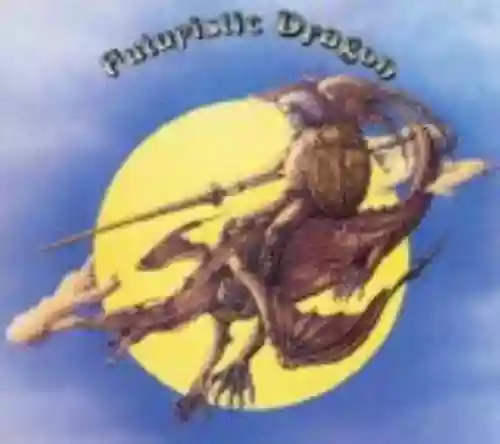 Cover di Futuristic Dragon