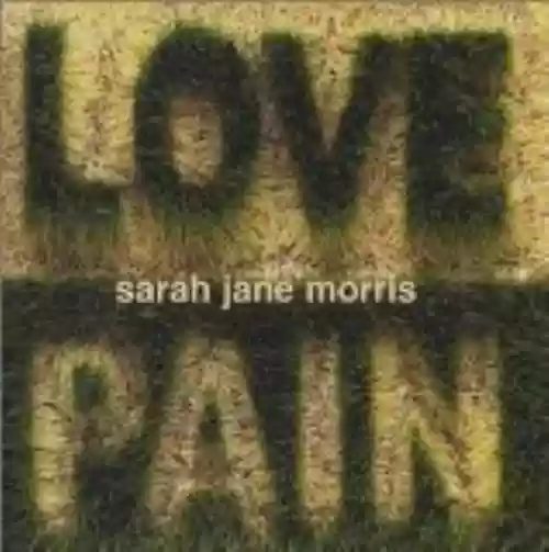 Cover di Love and Pain