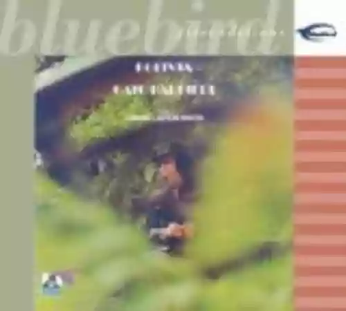 Cover di Bolivia / Under Fire