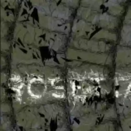 Cover di The Galilean Satellites