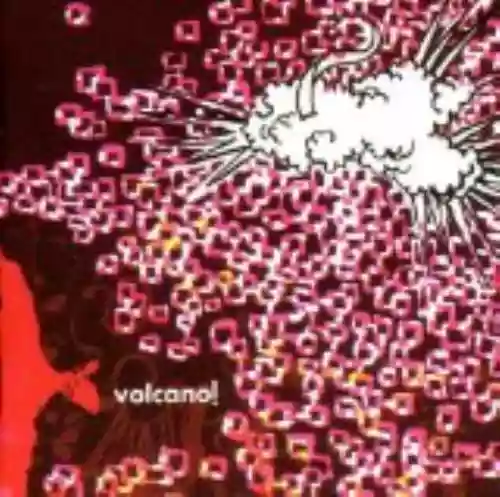 Cover di Beautiful Seizure