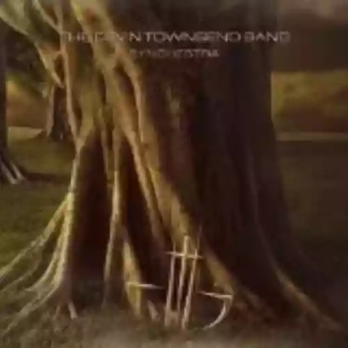 Cover di Synchestra