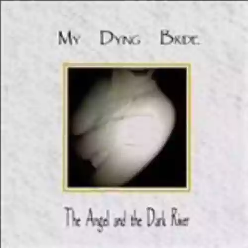 Cover di The Angel and the Dark River