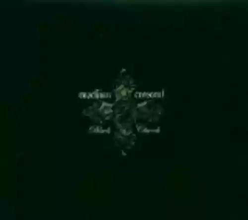 Cover di Black Church