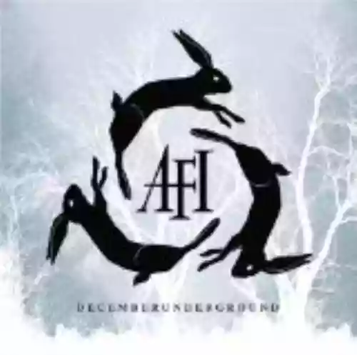 Cover di decemberunderground