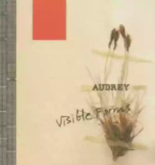 Cover di Visible Forms