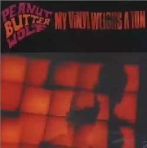 Cover di My Vinyl Weighs a Ton