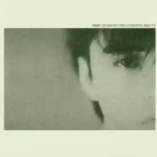 Cover di Crumbling the Antiseptic Beauty