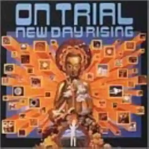Cover di New Day Rising