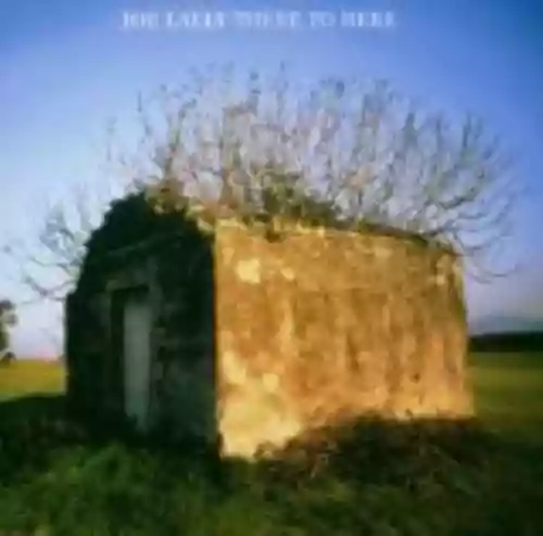Cover di There to Here