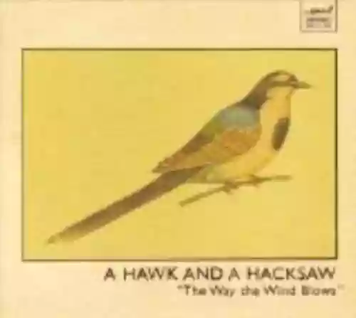 Cover di The Way the Wind Blows