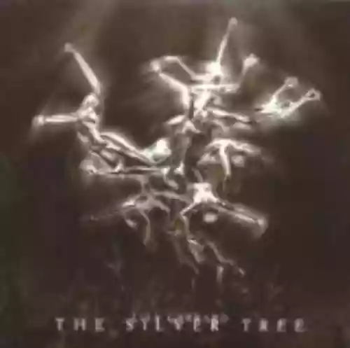 Cover di The Silver Tree