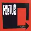<b>Foetus</b> • Flow